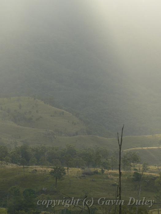 Storm light, Cunningham's Gap P1080024.JPG